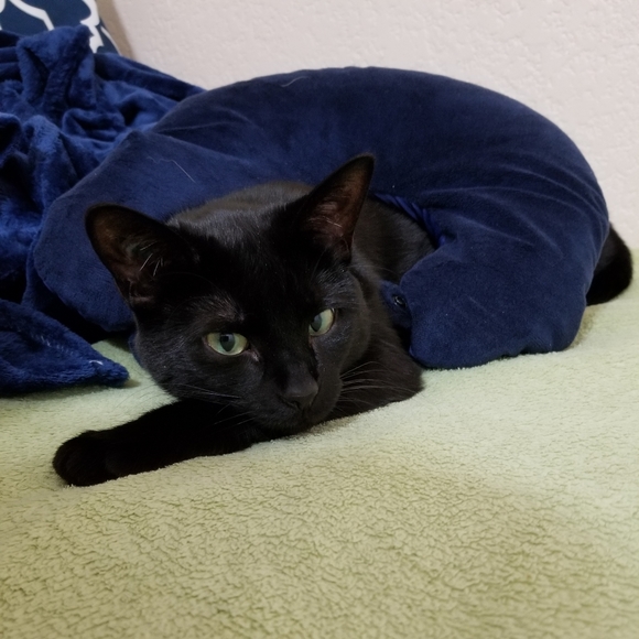 Meet your Posher, Sunshine - Picture 7 of 9